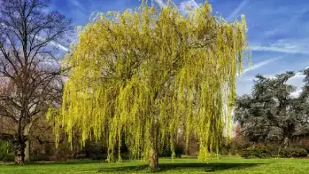 Foto von Bestattungshaus Wagenknecht