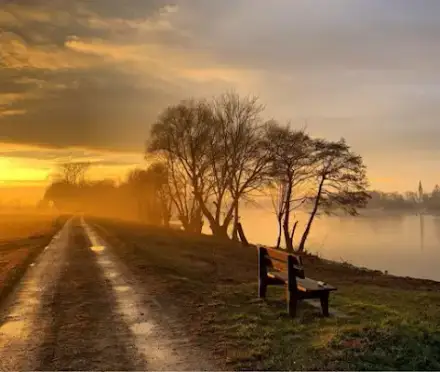 Foto von Bestattungsinstitut Josefa Amann