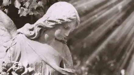 Foto von Bestattungsinstitut Peter Blatz