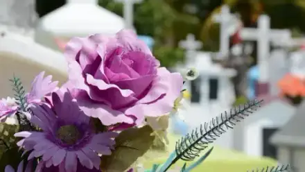 Foto von Bestattungsinstitut Peter Stubenvoll