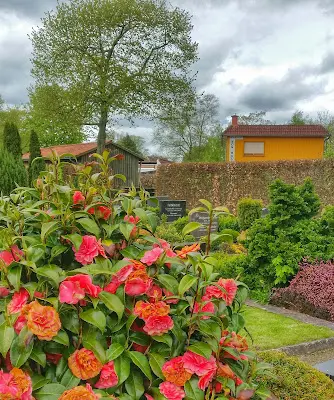 Foto von Bestattungsinstitut von Halle/Emkes OHG - Aurich