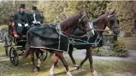 Foto von Bestattungsinstitut Würdevoller Abschied Inh. Michael Trenker