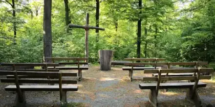 Foto von Bestattungswald Butzbach