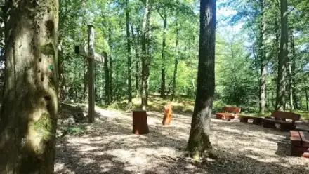 Foto von Bestattungswald Haiger