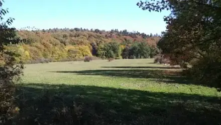 Foto von Bestattungswald Holzhausen-Externsteine