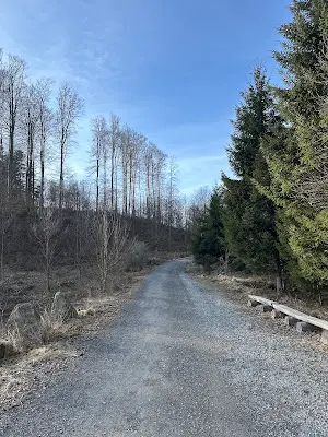 Foto von Bestattungswald Josephsruh