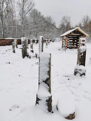 Foto von Bestattungswald Netphen-Deuz