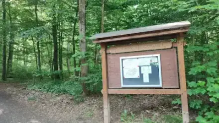 Foto von Bestattungswald Nidderau