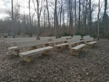 Foto von Bestattungswald Paderborn