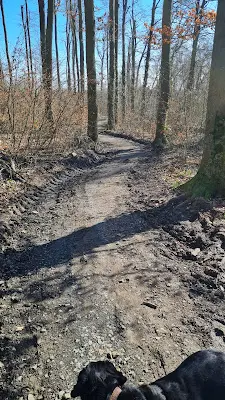 Foto von Bestattungswald Schiffenberg