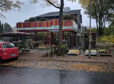 Foto von Blumenhaus Chrysanthem Hoffmann u. Hornstein GmbH