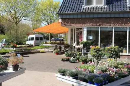 Foto von Blumenhaus Friedhofsgärtnerei Bestattungen Wolters