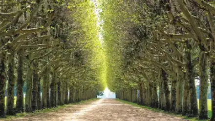 Foto von Borges Bestattungen oHG