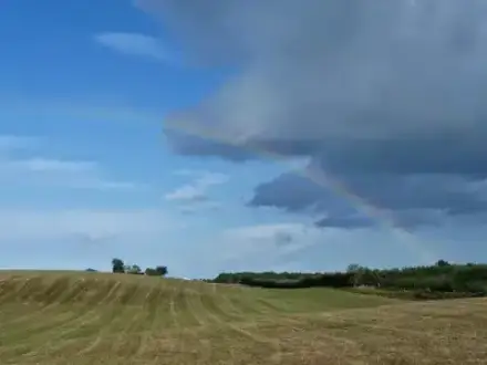 Foto von Brigitte Gilli, Bestattung mit Begleitung