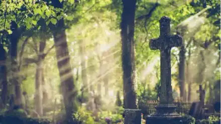 Foto von Celler Bestattungen Inh. Milan Lavic