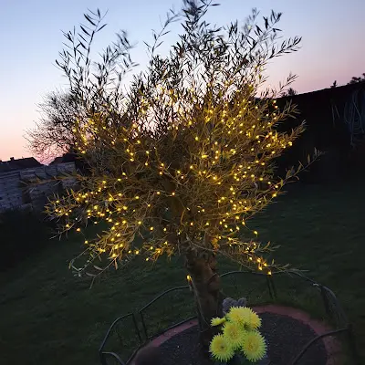 Foto von Christ - Bestattung & Begleitung