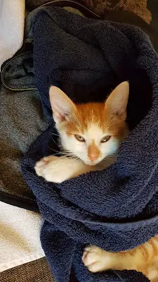 Foto von Christiane Hahmann