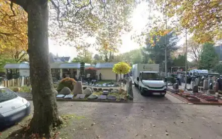 Foto von Creativ In Grün