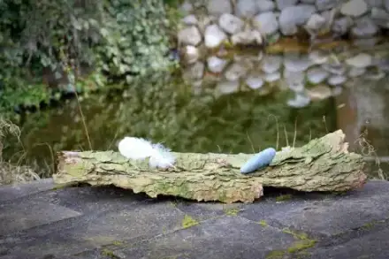 Foto von Die Bestatterin - Jutta Schäfer