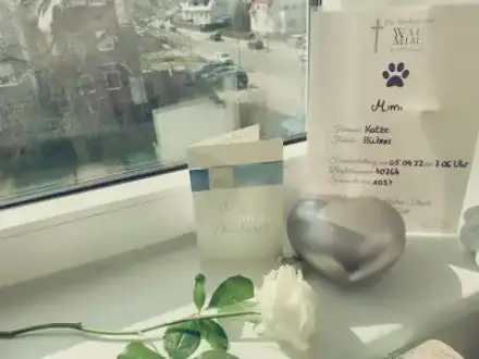 Foto von Die Tierbestatter Wau-Miau Wolfsburg GbR