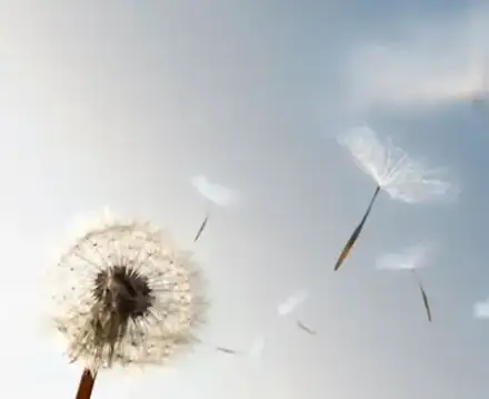 Foto von Egon Guckes Bestattungen