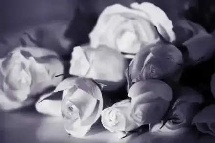 Foto von Erkens Bestattungen