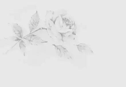 Foto von Ernst Giere Bestattungen