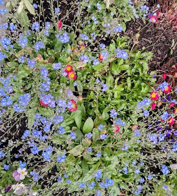 Foto von Friedhof Aalen-Hofen