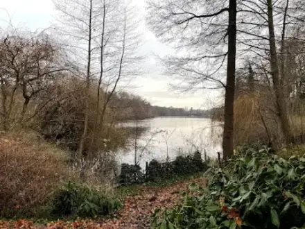 Foto von Friedhof am Plötzensee