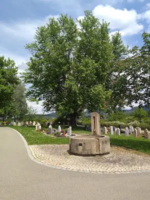 Foto von Friedhof Belsen