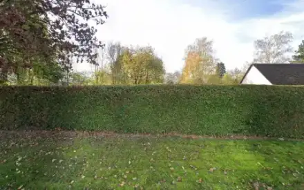 Foto von Friedhof Heckershausen