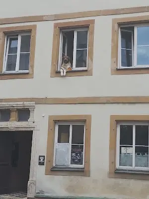 Foto von Friedhof Lauchheim