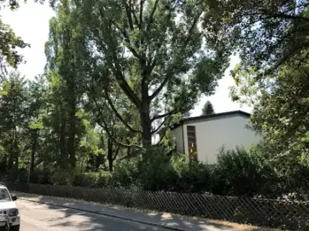 Foto von Friedhof Mössingen