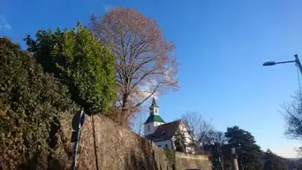 Foto von Friedhof Obertürkheim