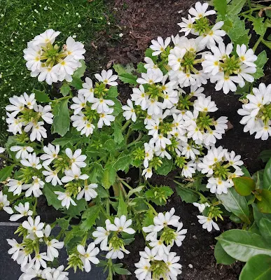 Foto von Friedhof Röttingen