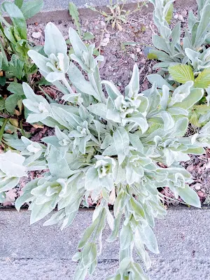 Foto von Friedhof Unterkessach