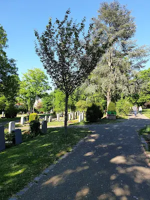 Foto von Friedhof Untertürkheim