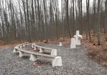 Foto von FriedWald Bad Berka