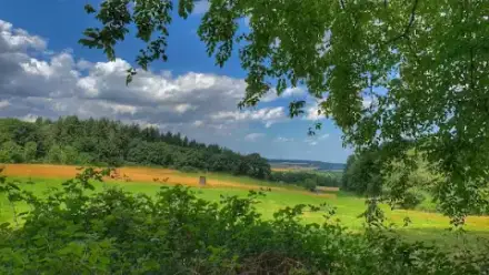 Foto von FriedWald Bad Münstereifel