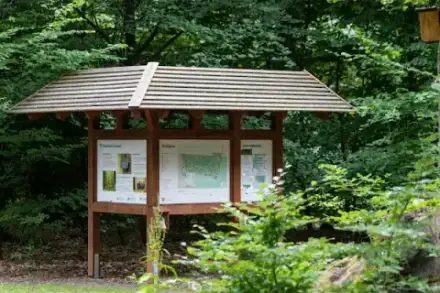 Foto von FriedWald Cuxland