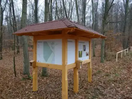 Foto von FriedWald Dietzenbach