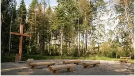 Foto von FriedWald Donaueschingen