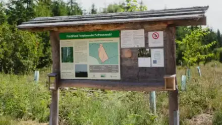 Foto von FriedWald Friedenweiler