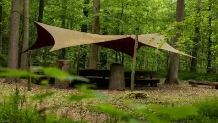 Foto von FriedWald Grevesmühlen