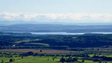 Foto von FriedWald Heiligenberg