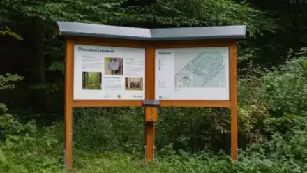 Foto von FriedWald Lauterbach