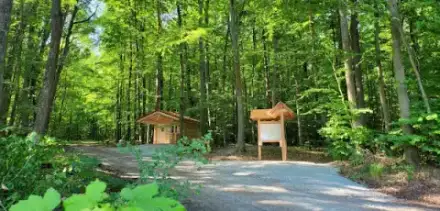 Foto von FriedWald Main-Tauber