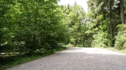 Foto von FriedWald Meßkirch