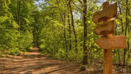 Foto von FriedWald Mühlenbecker Land