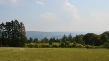 Foto von FriedWald Neuwied-Monrepos